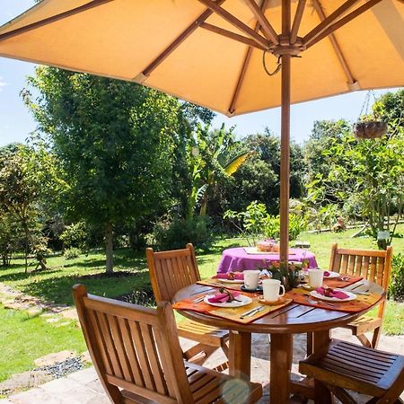 Passadhi Ayurveda & Yoga Retreat Hotel Виля Де Лейва Екстериор снимка