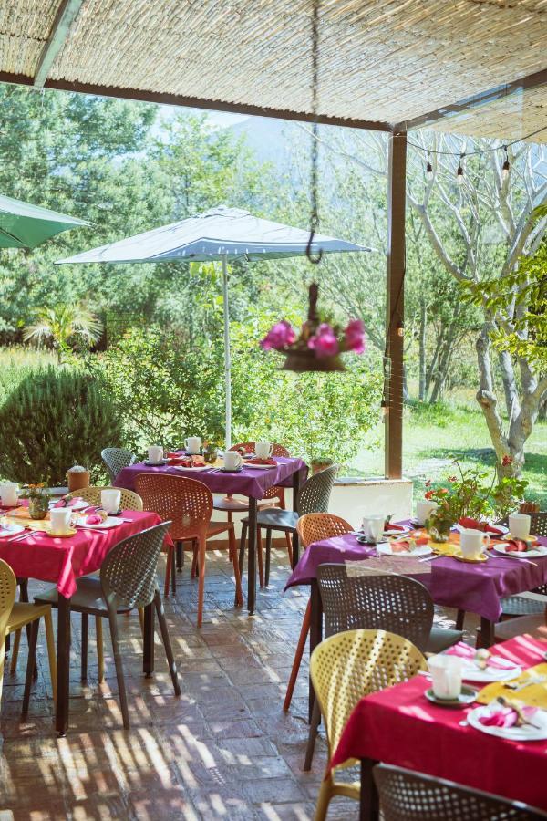 Passadhi Ayurveda & Yoga Retreat Hotel Виля Де Лейва Екстериор снимка